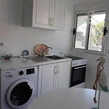 Blue Coral * Velipojë