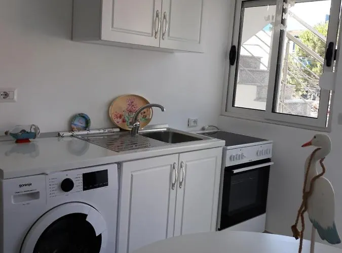 Blue Coral * Velipojë