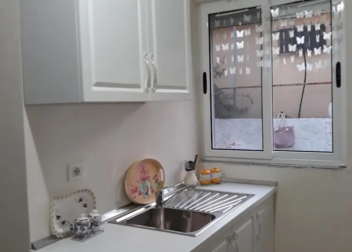 Blue Coral * Velipojë